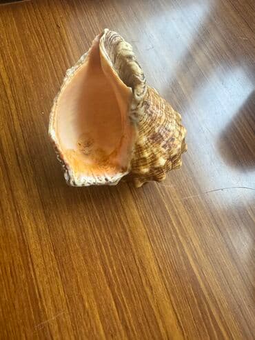 говорящие мягкие игрушки: Rakuşka — 6