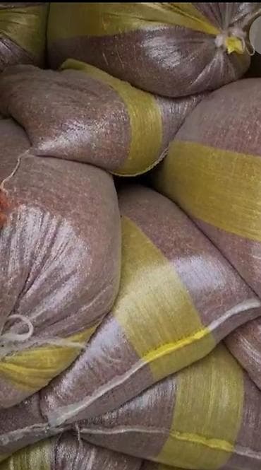 qoz sekili: Salam rayonlara çatdırlma var təmiz süpürgə sorqo toxumu dur tonla — 5