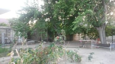 dübəndi torpaq: 10 sot, Tikinti, Makler, Kupça (Çıxarış) — 9