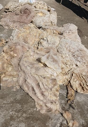 qarlı şam və küknar ağacları: Qoyun yunu – kisələrdə - Təbii qoyun yunu, iri polipropilen kisələrdə — 2