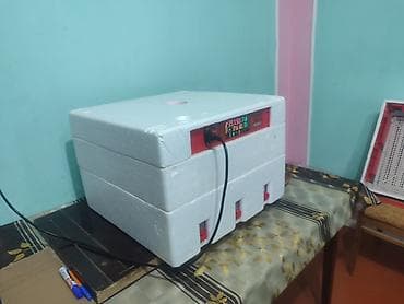 servis avadanliqlari: Çin, Tam avtomat — 4