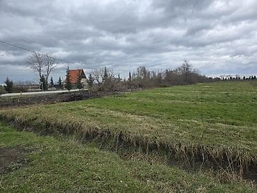 hovuzlu bağ evi: Kənd təsərrüfatı, Texniki pasport — 4