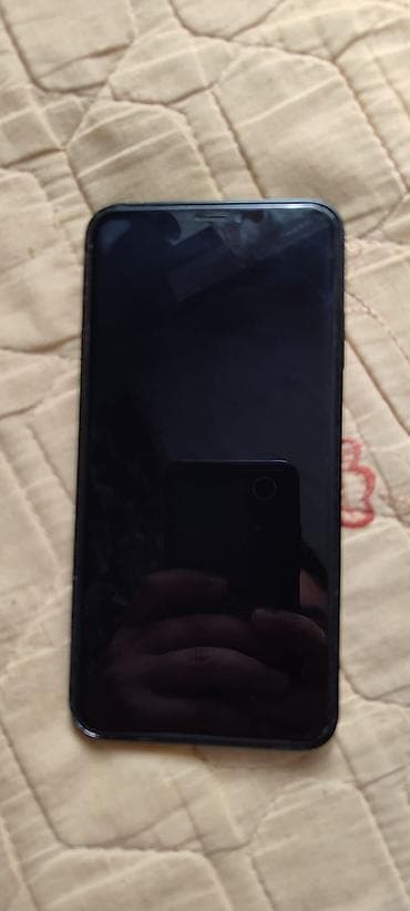 IPhone 16 Plus, Qara