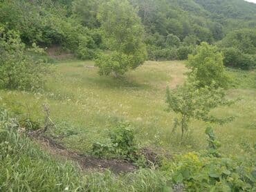 torpaq şəkilləri: Kənd təsərrüfatı, Mülkiyyətçi, Kupça (Çıxarış) — 1