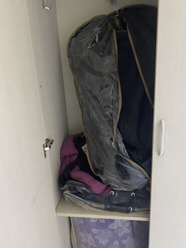 Audi: Açılan, Düz dolab, Dəhliz dolabı — 2