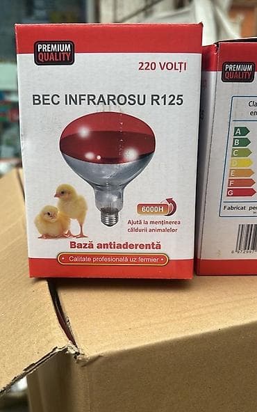 İnfraqırmızı lampa R125 – heyvanların qızdırılması üçün 150,200,250 lalafo.az -da İnfraqırmızı lampa R125 – heyvanların qızdırılması üçün 150,200,250