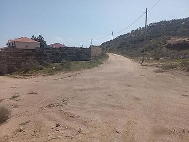 merdekan torpaq: Tikinti — 9