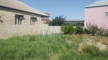 sabuncuda ev: 6 sot, Kənd təsərrüfatı, Mülkiyyətçi, Kupça (Çıxarış) — 4