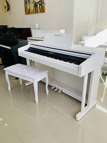 qəpik pullar: Çox sevilən Euphonia elektron pianoları! Çəkiç mexanizmini imitasiya — 1