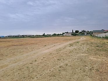 100 sot, Kupça (Çıxarış)