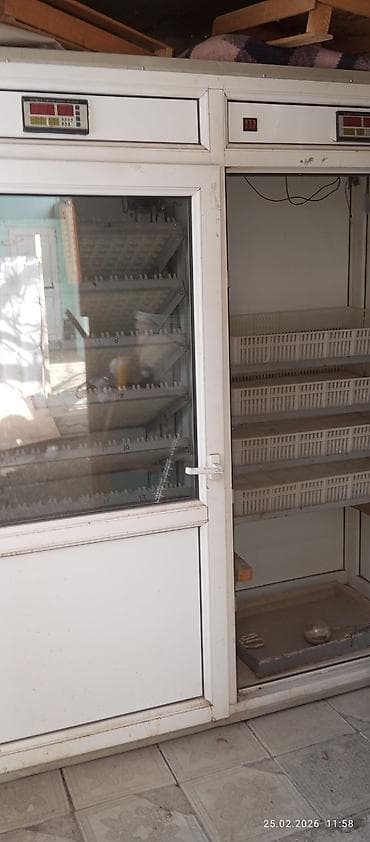 Оборудование для производства: Inkubator. 1250 yumurtalıq. işlək vəziyyətdə. avtomatik fırlanma — 3