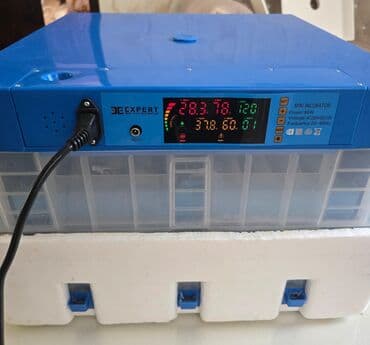 инкубатор купить: Китай, Полностью автоматическая — 1