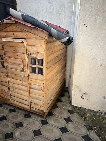 Təmir və tikinti: Taxta həyət tövləsi / quşxana - Material: massiv taxta lövhələr — 2