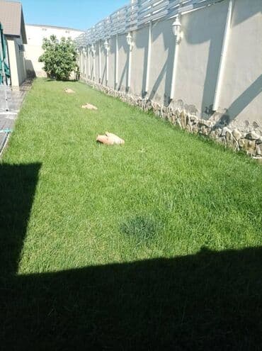 ev certiyojları: Şüvəlan qəs., 140 kv. m, 3 otaqlı, Hovuzlu, Kanalizasiya, Qaz, Su — 11