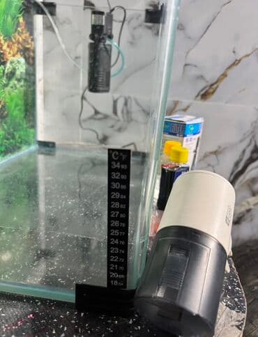 купить аквариум в баку: Salam Akvarium yenidir Şəkildə gördüyünüz aparatları üzərində hədiyə — 5