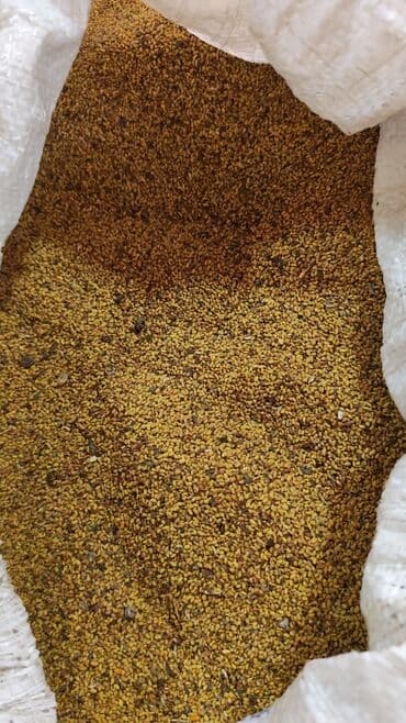 tutuquşu yuvası: Məhsul: Qarışıq quş yemi (xırda toxumlar) Təsvir: - Ağ polipropilen — 1