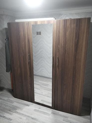 salon mallar: 3 qapılı, Güzgülü, Qəhvəyi, Digər material, Açılan, Düz dolab — 2