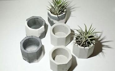 fokus bonsai: Məhsul: Kiçik dekorativ saksı qabları (poliedr formalı) • Dizayn — 8