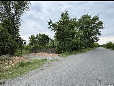 yeni emlak az: 210 sot, Kənd təsərrüfatı, Mülkiyyətçi, Kupça (Çıxarış) — 1