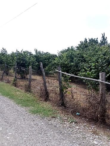 balaxanida satilan evler: Kənd təsərrüfatı — 2