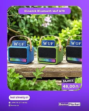 mp3 fm modulator: Yeni Kolonka, Növ - Portativ — 1