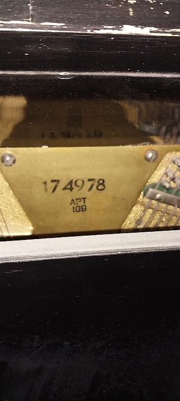 digital piano: Piano, Belarus, Akustik — 2