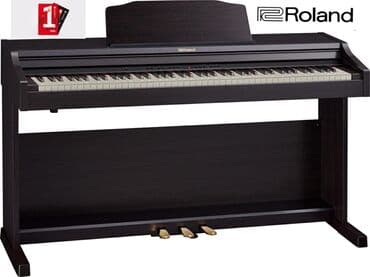 elektro piano: Elektron pi̇ano.Roland rp102 bk yapon mütəxəsisslərinin ərsəyə — 1