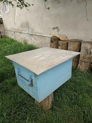 Arı yeşiyi Salam aleykum 4 ramkası içində əla vəziyyətdədir isdəyən