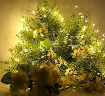 Bayram məhsulları: Led işıqlar
3 metr — 3