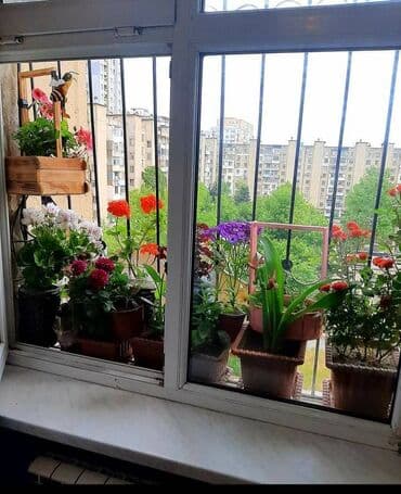 xacmaz obyekt: Nizami metrosuna yaxin yerləşənm olan,ətir maqazası obyekt təmirli — 2