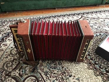 Akustik Akkordeon