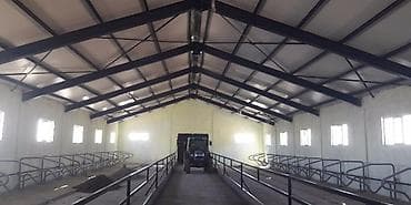 su meymunu: Fermaya isci axtarilir. 15 heyvan var Fermanin her seraiti var — 1