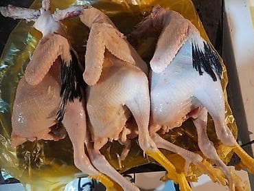 Ət məhsulları: Kənd toyuğu Toyuq Bütöv — 2