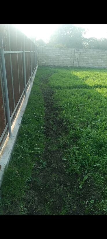 zigda kiraye evler 2024: 6 sot, Tikinti, Mülkiyyətçi, Kupça (Çıxarış) — 2