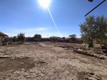 şıxovda torpaq sahəsi: 6 sot, Kənd təsərrüfatı, Kupça (Çıxarış) — 3