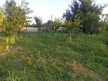 10 соток, Для сельского хозяйства, Собственник, Купчая — 5