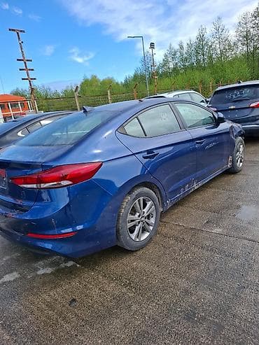 elantra bobin: Bakıda hazır Rengsaz sexı bıznes kımı satılır 500mnaata sex qesey — 2
