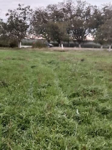 xacmazda 9 nöm mektebin yanında ev torpaq satqısı: Quba rayonu ərazisi, daimi suyu asfalt yolu olan 4ha torpaq sahəsi — 2