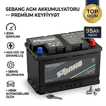 Digər istehsalçı, 95 ah, Orijinal, Yaponiya, Yeni — 1