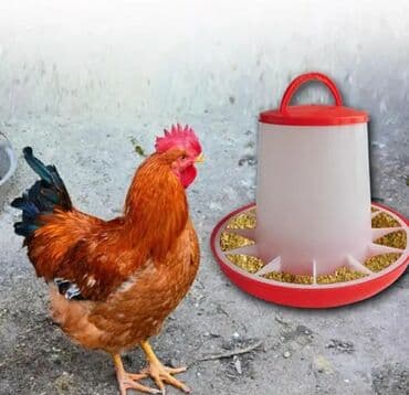 bmw 3 серия 316ti at: Yem qabı, Su üçün, Quşlar üçün, Ünvandan götürmə, Pulsuz çatdırılma, Ödənişli çatdırılma — 1