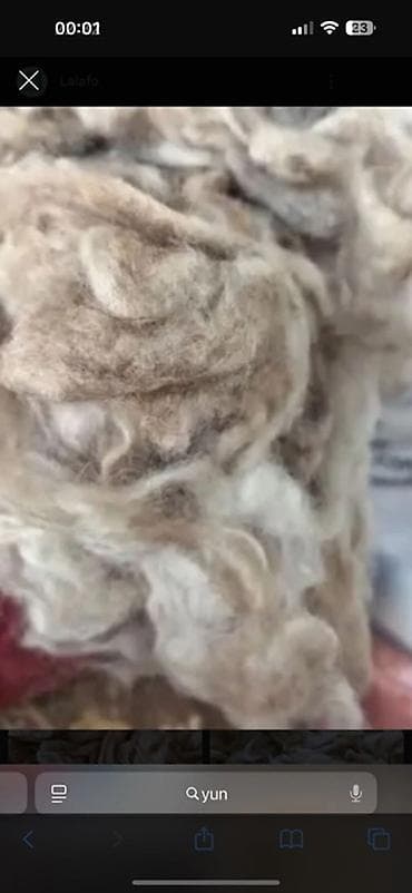 İşlənmiş yun satıram. 100kq. Hamısın götürənə endirim edəcəm (və ya