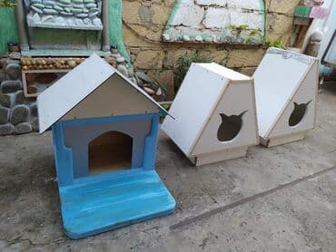 İtlər: Salam yuvalar 45-50 arası düşüb endirim dedi — 2