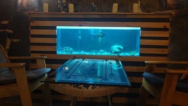 nemo baligi: Balıqlarla birlikdə, 120 l, Ünvandan götürmə — 1