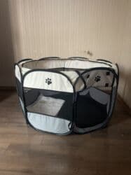 doberman itləri: Pekines — 5