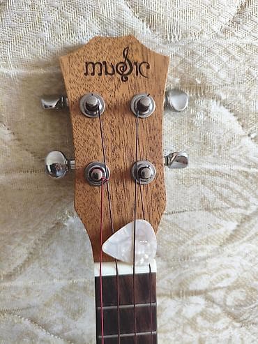 real gitara: Ukulele — 2