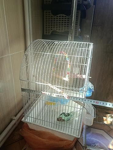 ucuz quşlar: Quş qəfəsi – aksesuarlarla birlikdə - Forma: yarımdairə damlı, metal — 2