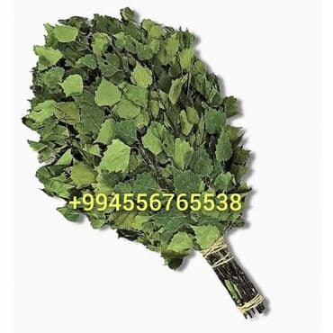 ведро для бани: Sauna üçün süpürgə sauna üçün venik, веник для бани — 1