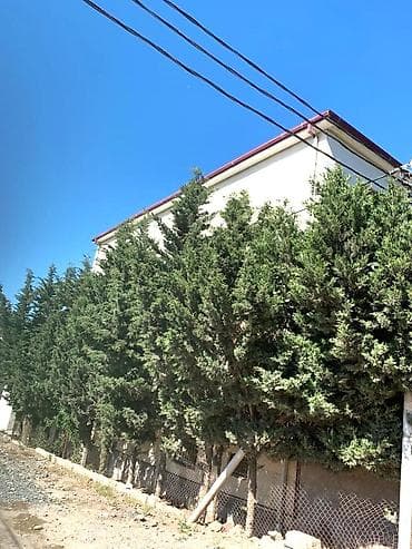 Hökməli 6 otaqlı, 750 kv. m, Kredit yoxdur, Orta təmir