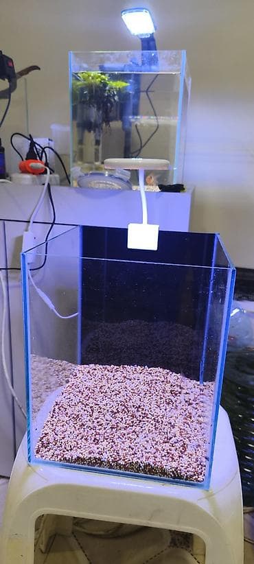 Nano akvarium dəsti - Şüşə nano akvarium - Üst hissəyə bərkidilən