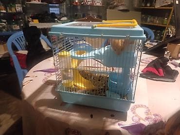 heyvanlar ucun mallar: Xamster üçün tam dəst qəfəs - Kompakt ölçülü, ikimərtəbəli — 1